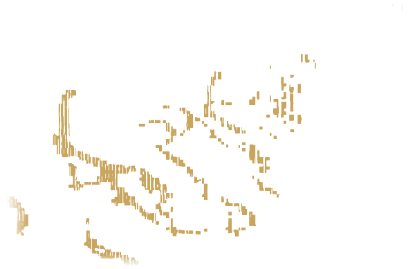 Gold birds in flight